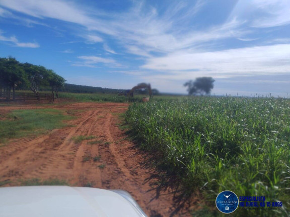 Imagem Fazenda à Venda, 219 m² em Zona Rural - Montes Claros De Goiás Imagem Fazenda à Venda, 219 m² em Zona Rural - Montes Claros De Goiás