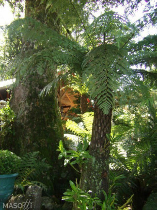 Imagem Casa com 3 Quartos à Venda, 245 m² em Mato Queimado - Gramado Imagem Casa com 3 Quartos à Venda, 245 m² em Mato Queimado - Gramado