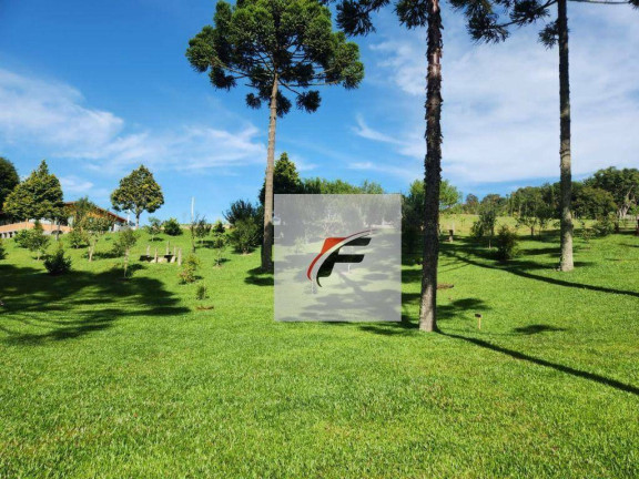 Imagem Chácara com 3 Quartos à Venda, 305.000 m² em Zona Rural - Tijucas Do Sul
