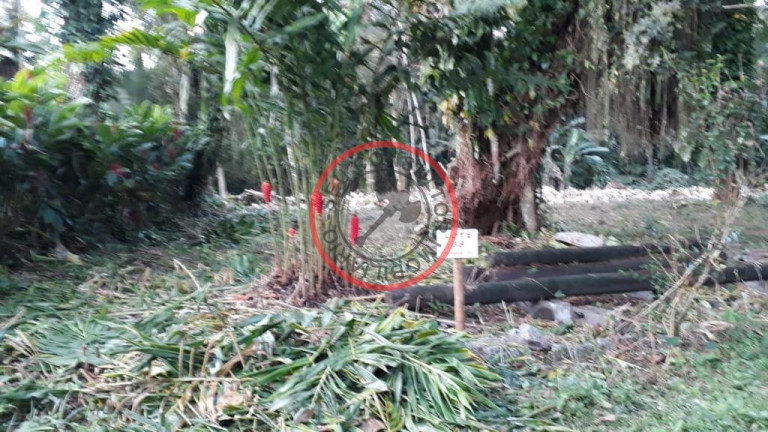 Imagem Terreno à Venda, 250 m² em Boiçucanga - São Sebastião Imagem Terreno à Venda, 250 m² em Boiçucanga - São Sebastião