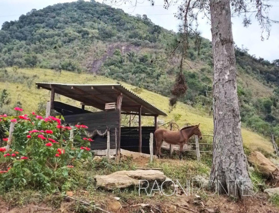 Imagem Fazenda à Venda, 70.000 m² em Sodrelândia - Trajano De Morais Imagem Fazenda à Venda, 70.000 m² em Sodrelândia - Trajano De Morais