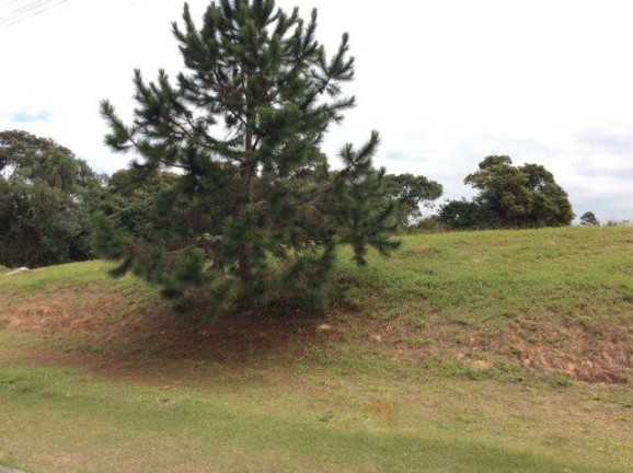 Imagem Terreno à Venda, 500 m² em Santa Adélia - Vargem Grande Paulista Imagem Terreno à Venda, 500 m² em Santa Adélia - Vargem Grande Paulista