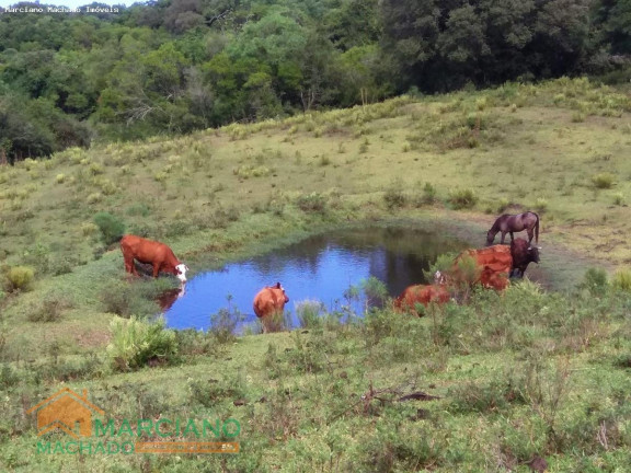 Imagem Terreno à Venda, 790.000 m² em Rural - Encruzilhada Do Sul Imagem Terreno à Venda, 790.000 m² em Rural - Encruzilhada Do Sul