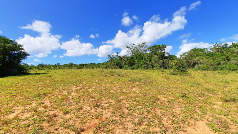 Imagem Fazenda à Venda, 900.000 m² em Centro - Viamão Imagem Fazenda à Venda, 900.000 m² em Centro - Viamão