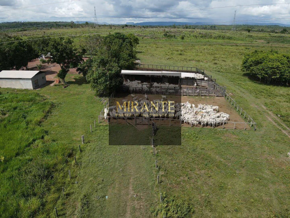Imagem Fazenda à Venda, 741 m² em Centro - Alenquer Imagem Fazenda à Venda, 741 m² em Centro - Alenquer