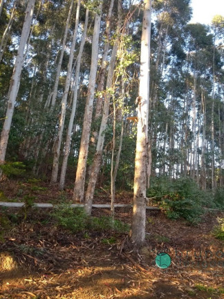 Imagem Imóvel com 2 Quartos à Venda, 50.000 m² em Zona Rural - Alfredo Wagner Imagem Imóvel com 2 Quartos à Venda, 50.000 m² em Zona Rural - Alfredo Wagner