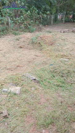 Imagem Casa com 2 Quartos à Venda, em Viamão Imagem Casa com 2 Quartos à Venda, em Viamão