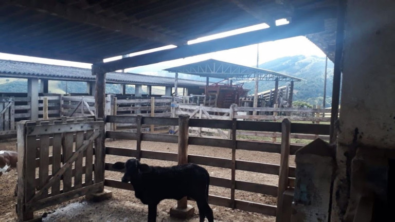 Imagem Fazenda à Venda, 100 m² em Centro - Aiuruoca Imagem Fazenda à Venda, 100 m² em Centro - Aiuruoca