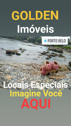 Imagem Apartamento com 2 Quartos à Venda, 62 m² em Perequê - Porto Belo Imagem Apartamento com 2 Quartos à Venda, 62 m² em Perequê - Porto Belo
