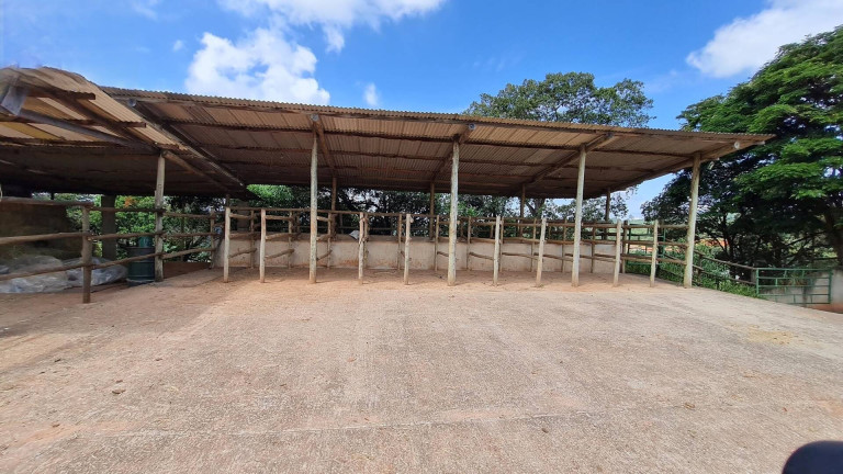 Imagem Chácara com 4 Quartos à Venda, 26.000 m² em água Comprida - Bragança Paulista Imagem Chácara com 4 Quartos à Venda, 26.000 m² em água Comprida - Bragança Paulista