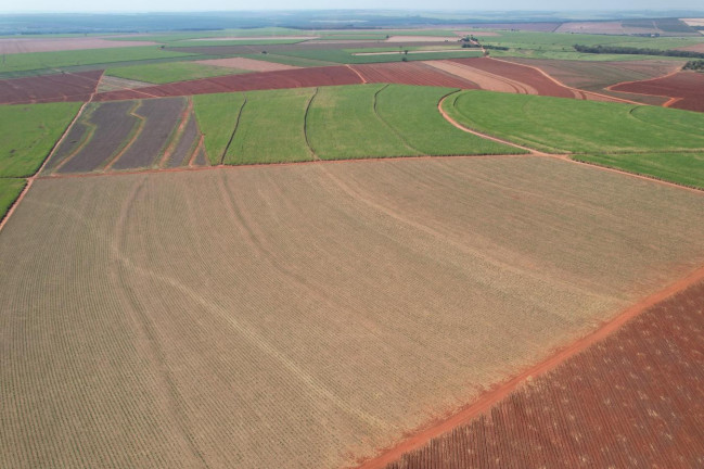 Imagem Fazenda à Venda, 64 m² em Zona Rural - Bariri Imagem Fazenda à Venda, 64 m² em Zona Rural - Bariri