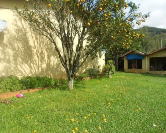 Imagem Casa com 3 Quartos à Venda, 160 m² em Pinhal Alto - Nova Petrópolis Imagem Casa com 3 Quartos à Venda, 160 m² em Pinhal Alto - Nova Petrópolis