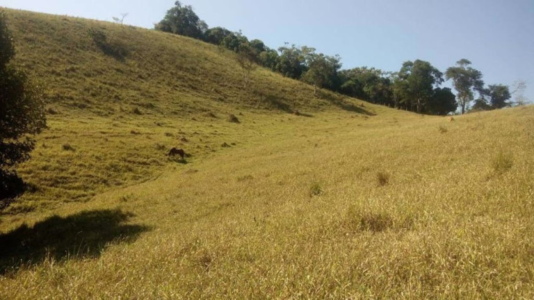 Imagem Chácara com 1 Quarto à Venda, 90 m² em Centro - Paraibuna Imagem Chácara com 1 Quarto à Venda, 90 m² em Centro - Paraibuna