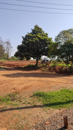 Imagem Imóvel com 2 Quartos à Venda, 96.800 m² em Rural - Japira Imagem Imóvel com 2 Quartos à Venda, 96.800 m² em Rural - Japira