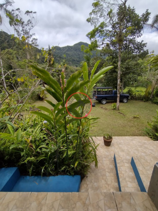 Imagem Casa com 2 Quartos à Venda, 150 m² em Boiçucanga - São Sebastião Imagem Casa com 2 Quartos à Venda, 150 m² em Boiçucanga - São Sebastião
