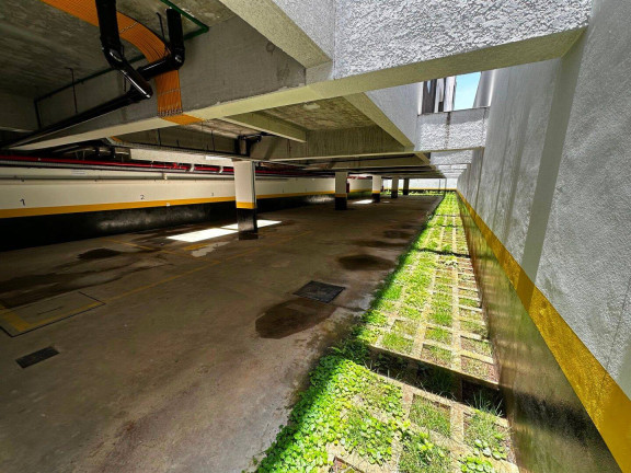 Imagem Apartamento com 2 Quartos à Venda, 67 m² em Vila Progresso - Guarulhos