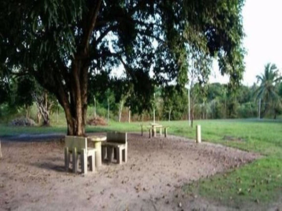 Imagem Chácara com 3 Quartos à Venda, 6.490 m² em Abrantes - Camaçari Imagem Chácara com 3 Quartos à Venda, 6.490 m² em Abrantes - Camaçari