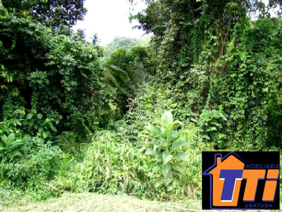 Imagem Terreno à Venda, 6.000 m² em Ubatumirim - Ubatuba Imagem Terreno à Venda, 6.000 m² em Ubatumirim - Ubatuba