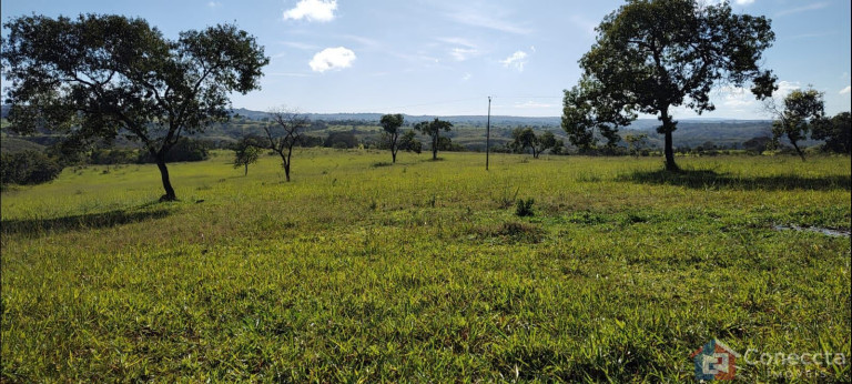 Imagem Imóvel à Venda, 8.080.000 m² em Centro - João Pinheiro