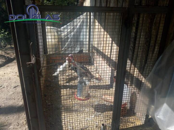 Imagem Chácara com 2 Quartos à Venda, 40 m² em Centro - Viamão