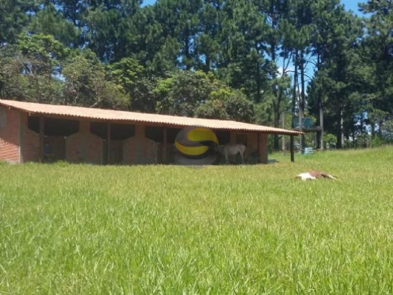 Imagem Chácara com 2 Quartos à Venda, 21.250 m² em Jardim Brasília - Mairinque Imagem Chácara com 2 Quartos à Venda, 21.250 m² em Jardim Brasília - Mairinque