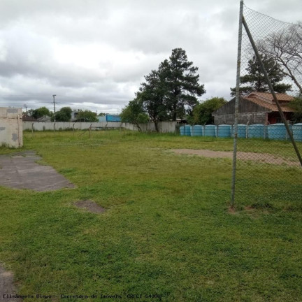 Imagem Apartamento com 2 Quartos à Venda, 39 m² em Rubem Berta - Porto Alegre
