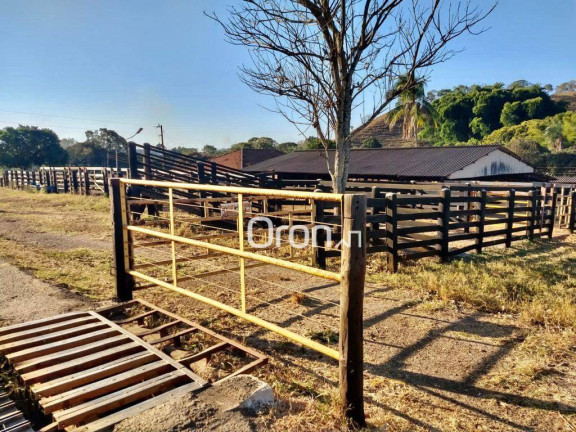 Imagem Fazenda à Venda, 500 m² em Zona Rural - Goianápolis