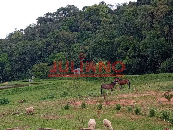 Imagem Casa à Venda, 13.600 m² em São Bento Do Sul Imagem Casa à Venda, 13.600 m² em São Bento Do Sul