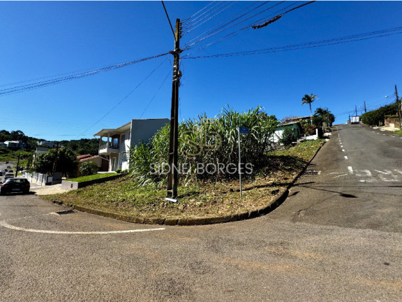 Imagem Terreno à Venda, em Primavera - Concórdia Imagem Terreno à Venda, em Primavera - Concórdia