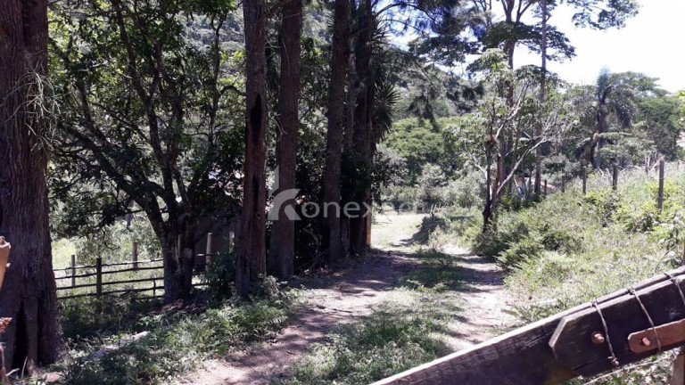 Imagem Chácara com 3 Quartos à Venda, 200 m² em Morro Azul - Paraibuna Imagem Chácara com 3 Quartos à Venda, 200 m² em Morro Azul - Paraibuna