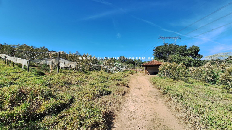 Imagem Chácara à Venda, 80.700 m² em área Rural De Morungaba - Morungaba
