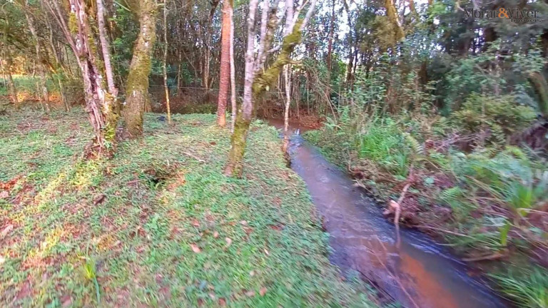 Imagem Imóvel à Venda, 32.800 m² em Ambrósio - Tijucas Do Sul Imagem Imóvel à Venda, 32.800 m² em Ambrósio - Tijucas Do Sul