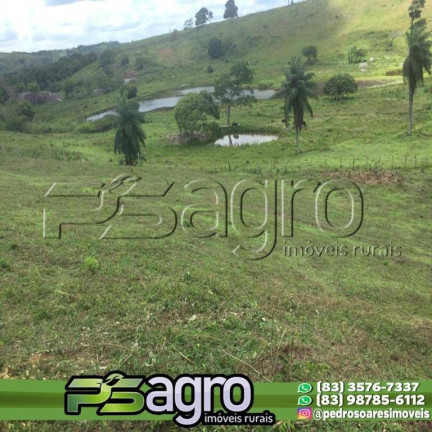 Imagem Fazenda à Venda, 100.000 m² em Bananeiras Imagem Fazenda à Venda, 100.000 m² em Bananeiras