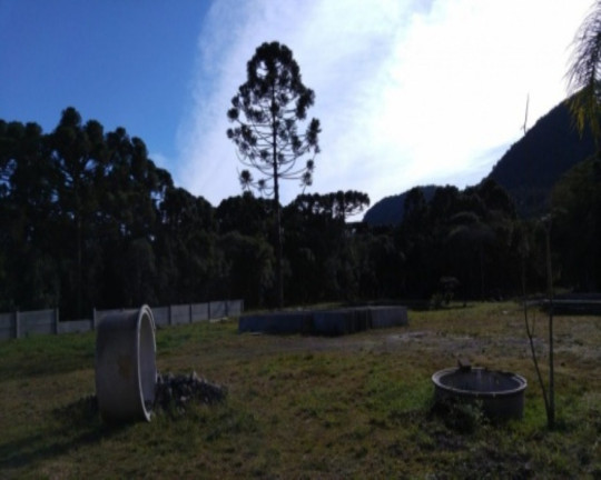 Imagem Terreno à Venda, 750 m² em Linha Araripe - Nova Petrópolis Imagem Terreno à Venda, 750 m² em Linha Araripe - Nova Petrópolis