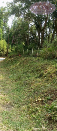 Imagem Terreno à Venda, 1.205 m² em Jardim Dos Eucaliptos - Suzano