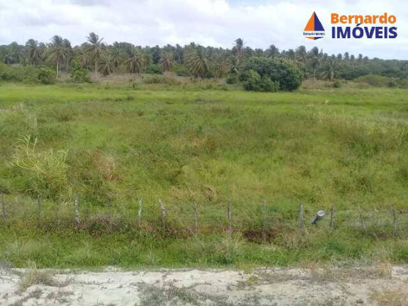 Imagem Chácara com 4 Quartos à Venda, 450 m² em Coqueiro Do Lagamar - Pindoretama Imagem Chácara com 4 Quartos à Venda, 450 m² em Coqueiro Do Lagamar - Pindoretama