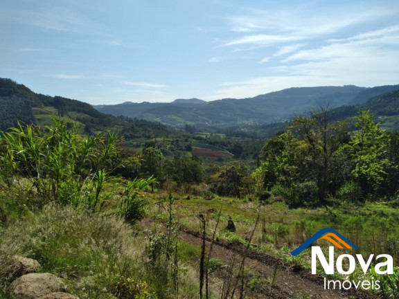 Imagem Imóvel à Venda, 10.000 m² em Vila Rica - Presidente Lucena Imagem Imóvel à Venda, 10.000 m² em Vila Rica - Presidente Lucena