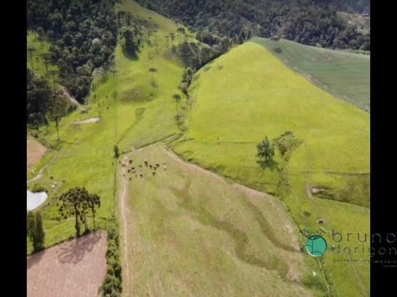 Imagem Imóvel à Venda, em Interior - Bom Retiro Imagem Imóvel à Venda, em Interior - Bom Retiro