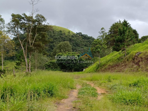 Imagem Imóvel com 4 Quartos à Venda, 123.000 m² em Córrego Das Pedras - Teresópolis Imagem Imóvel com 4 Quartos à Venda, 123.000 m² em Córrego Das Pedras - Teresópolis