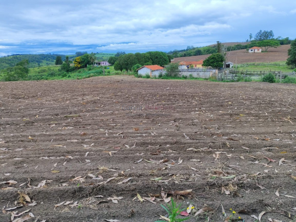 Imagem Imóvel com 6 Quartos à Venda, 847.000 m² em Centro - Itapetininga Imagem Imóvel com 6 Quartos à Venda, 847.000 m² em Centro - Itapetininga