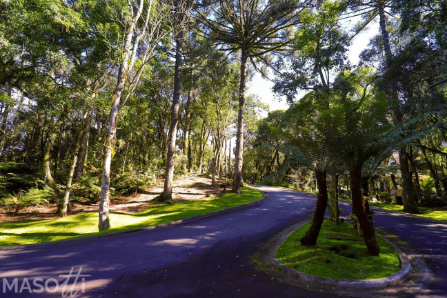 Imagem Terreno à Venda, 1.220 m² em Mato Queimado - Gramado Imagem Terreno à Venda, 1.220 m² em Mato Queimado - Gramado