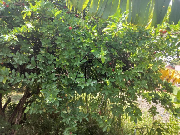 Terreno à Venda, 233 m² em Vila Rezende - Piracicaba