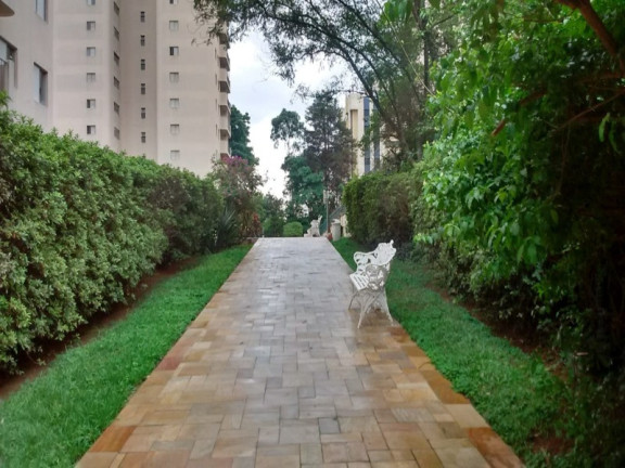 Imagem Imóvel com 3 Quartos à Venda, 68 m² em Jardim Londrina - São Paulo Imagem Imóvel com 3 Quartos à Venda, 68 m² em Jardim Londrina - São Paulo