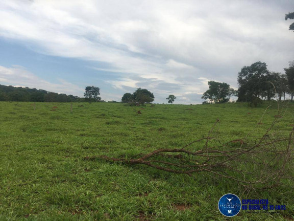 Imagem Chácara à Venda, 24 m² em Zona Rural - Petrolina De Goiás Imagem Chácara à Venda, 24 m² em Zona Rural - Petrolina De Goiás
