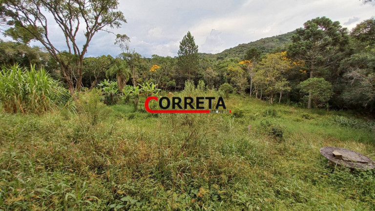 Imagem Casa com 3 Quartos à Venda, 3.848 m² em Vargem Do Salto - Ibiúna Imagem Casa com 3 Quartos à Venda, 3.848 m² em Vargem Do Salto - Ibiúna