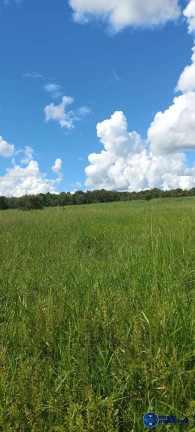 Imagem Fazenda à Venda, 75 m² em Zona Rural - Mozarlândia Imagem Fazenda à Venda, 75 m² em Zona Rural - Mozarlândia