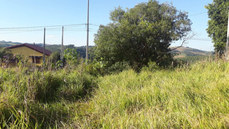 Imagem Terreno à Venda, 1.010 m² em Poço - Piedade Imagem Terreno à Venda, 1.010 m² em Poço - Piedade