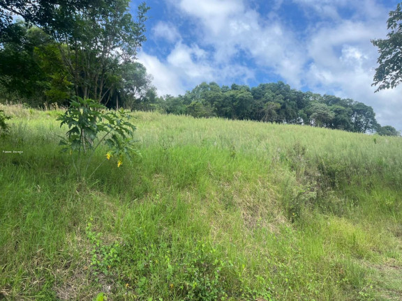 Imagem Terreno à Venda, 56.379 m² em Sc 155 - Itá Imagem Terreno à Venda, 56.379 m² em Sc 155 - Itá