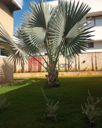 Imagem Casa com 4 Quartos à Venda, 400 m² em Ibituruna - Montes Claros Imagem Casa com 4 Quartos à Venda, 400 m² em Ibituruna - Montes Claros