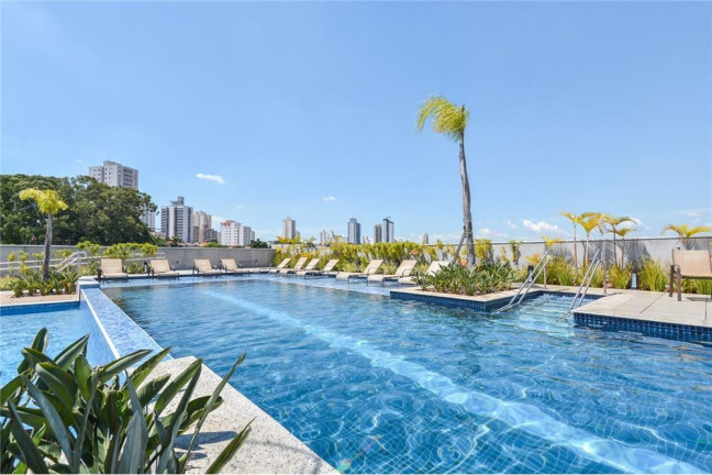 Imagem Apartamento com 2 Quartos à Venda, 66 m² em Ipiranga - São Paulo Imagem Apartamento com 2 Quartos à Venda, 66 m² em Ipiranga - São Paulo